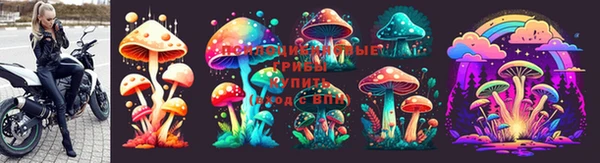 амф Богданович
