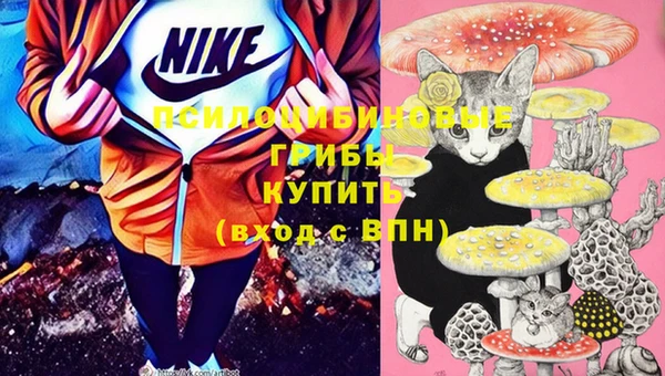 амф Богданович