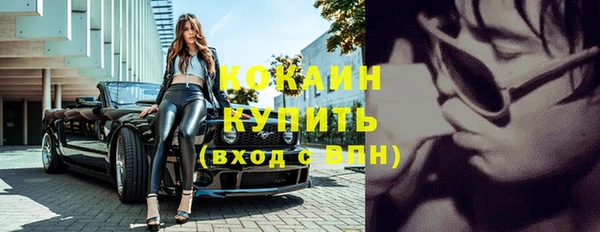 амф Богданович