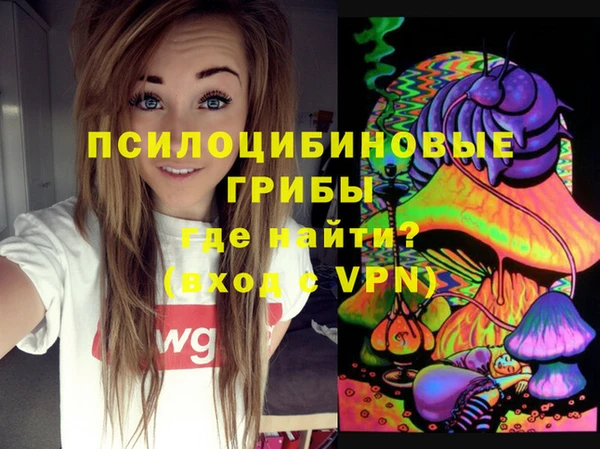 амф Богданович