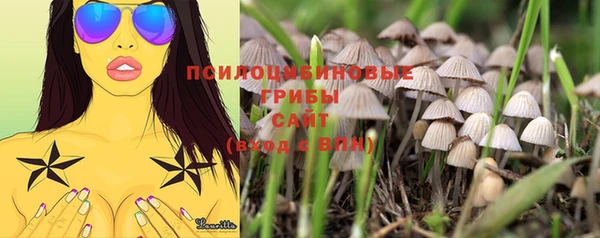 спайс Богородицк